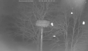 Caméra IP - Allemagne