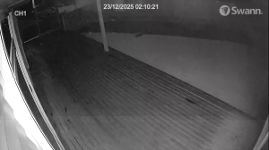 Caméra IP - Neuseeland