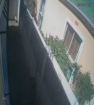 Caméra IP - Südafrika