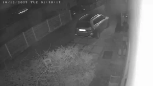 Caméra IP - Denmark