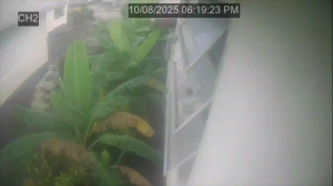 Caméra IP - Barbados