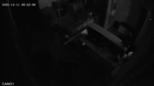 Caméra IP - Russische Föderation