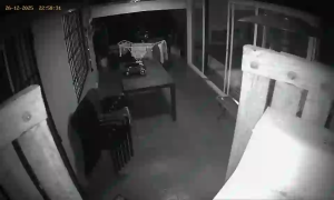 Caméra IP - Argentina