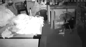 Caméra IP - Afrique du Sud