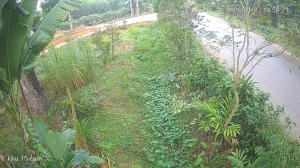 Caméra IP - Vietnam