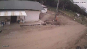 Caméra IP - Venezuela