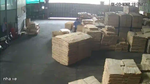 Caméra IP - Vietnam