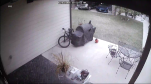 Caméra IP - États-Unis d'Amérique