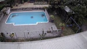 Caméra IP - Réunion