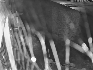 Caméra IP - Alemania