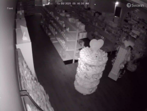 Caméra IP - Canadá