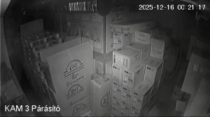 Caméra IP - Hungría