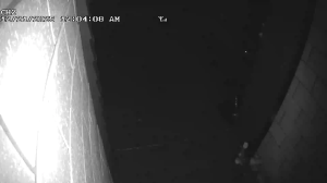 Caméra IP - Nueva Zelanda