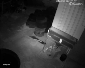 Caméra IP - Australia