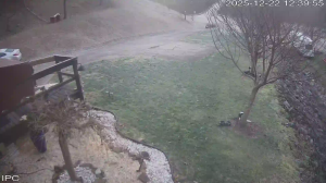 Caméra IP - Estados Unidos