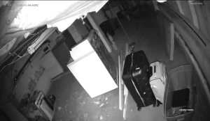 Caméra IP - Estados Unidos