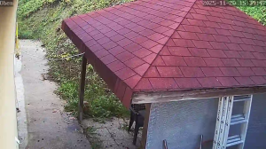 Caméra IP - Autriche