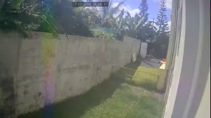 Caméra IP - Mauritius