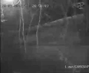 Caméra IP - Türkei