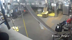 Caméra IP - United States of America