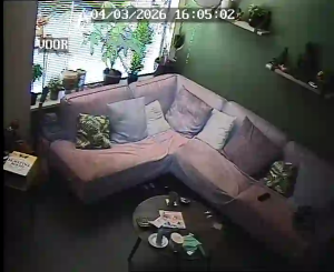 Caméra IP - Paesi Bassi