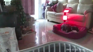 Caméra IP - Hong Kong