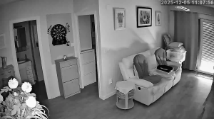 Caméra IP - Espagne