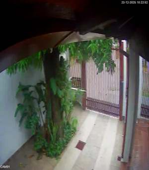 Caméra IP - Paraguay