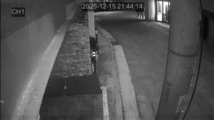 Caméra IP - South Korea