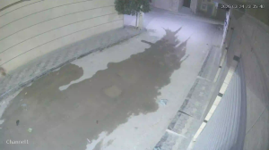 Caméra IP - Algerien