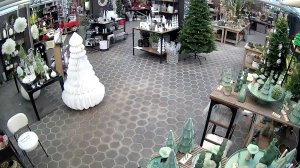 Caméra IP - Germania