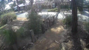 Caméra IP - Australia