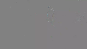 Caméra IP - Géorgie