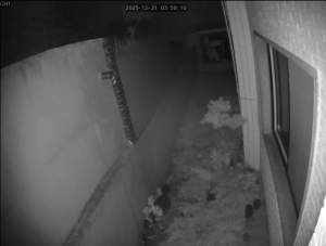 Caméra IP - Corea del Sud