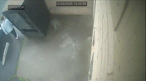 Caméra IP - Estados Unidos