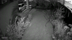 Caméra IP - Malaysia