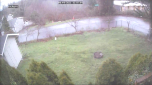 Caméra IP - États-Unis d'Amérique