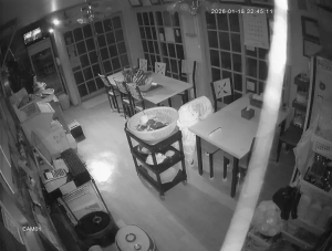 Caméra IP - Corée du Sud