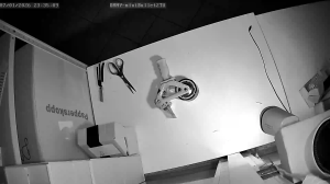 Caméra IP - Russian Federation