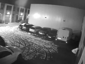 Caméra IP - Netherlands