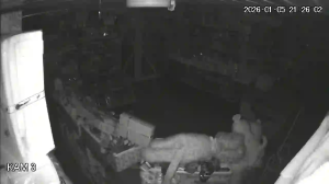 Caméra IP - Ukraine