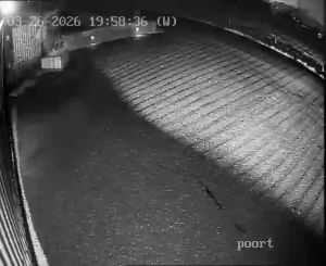 Caméra IP - Pays-Bas