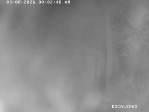 Caméra IP - Puerto Rico