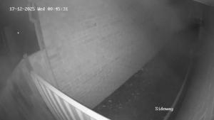 Caméra IP - Australia