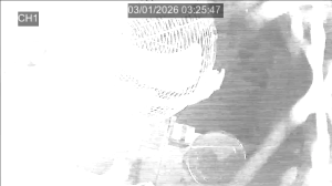 Caméra IP - Indonesia