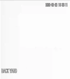 Caméra IP - South Africa