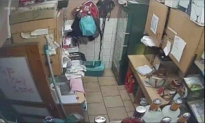 Caméra IP - Germany