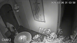 Caméra IP - Frankreich