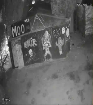 Caméra IP - Égypte