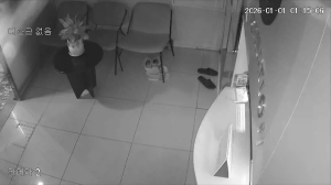 Caméra IP - South Korea